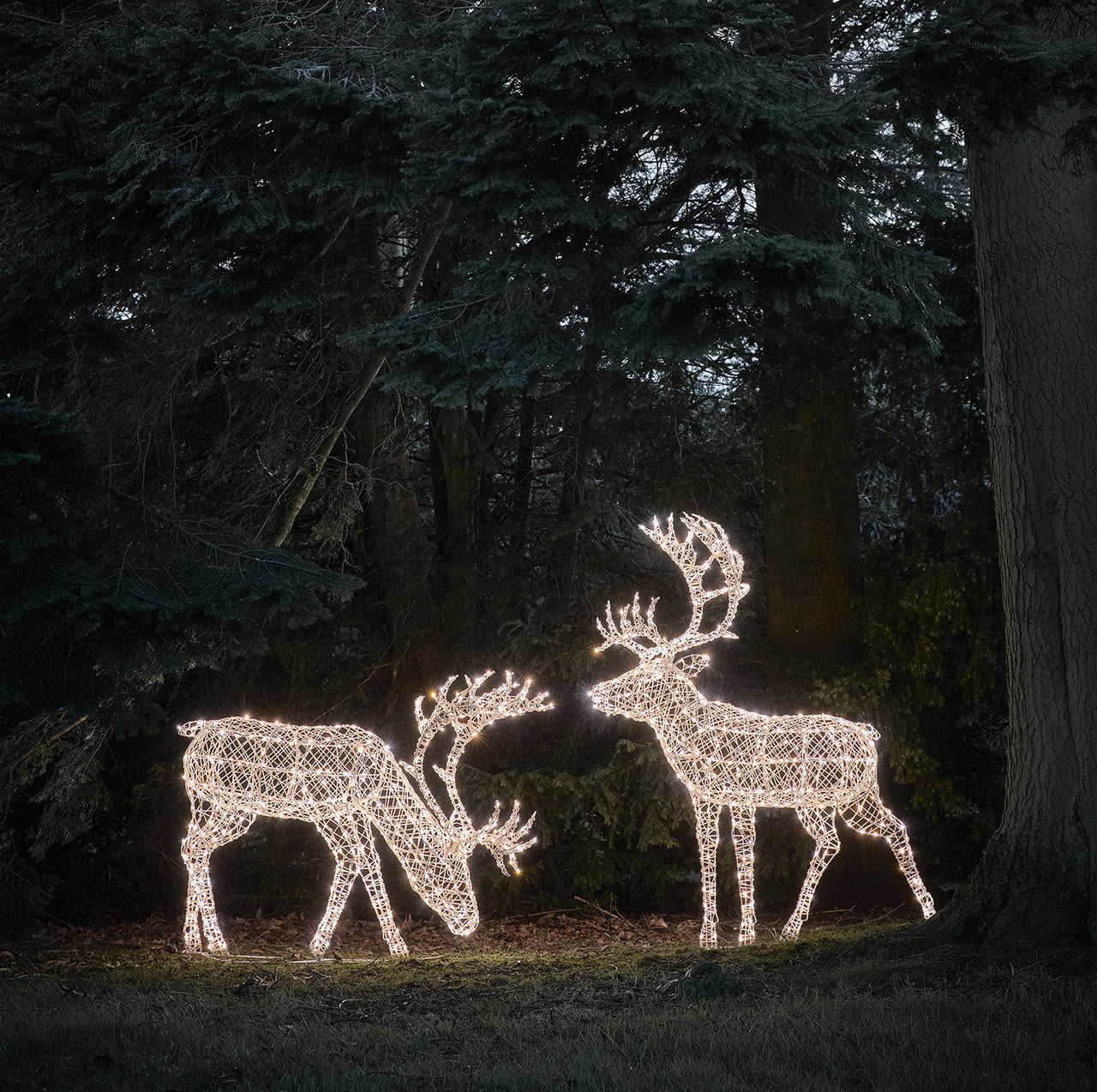 Großes Arkendale Bicolor LED Rentier Duo