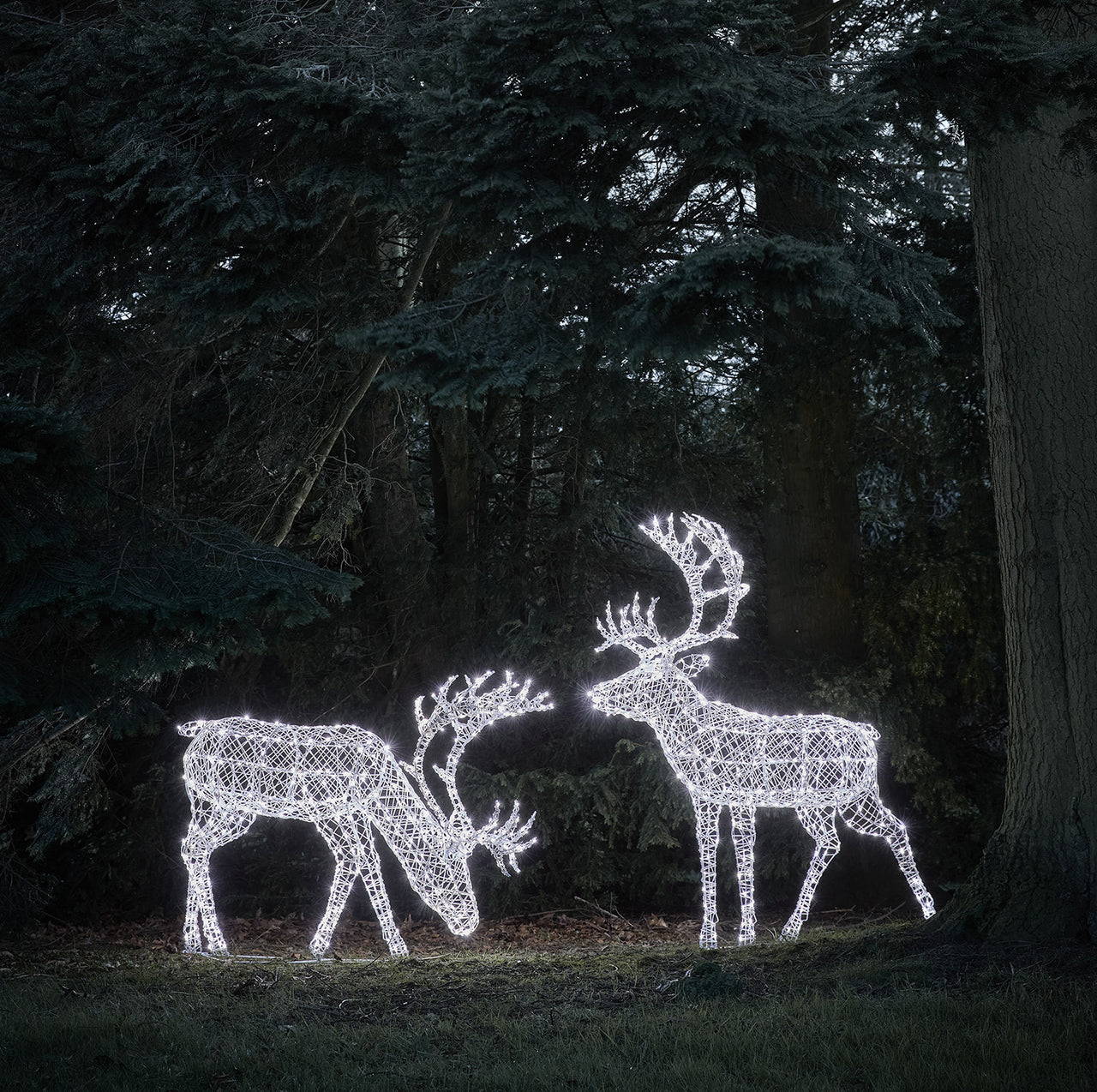 Großes Arkendale Bicolor LED Rentier Duo