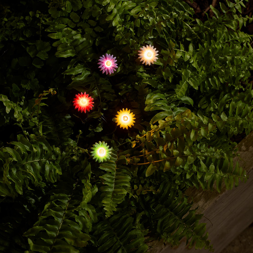 5er Set LED Solar Stableuchten Blumen