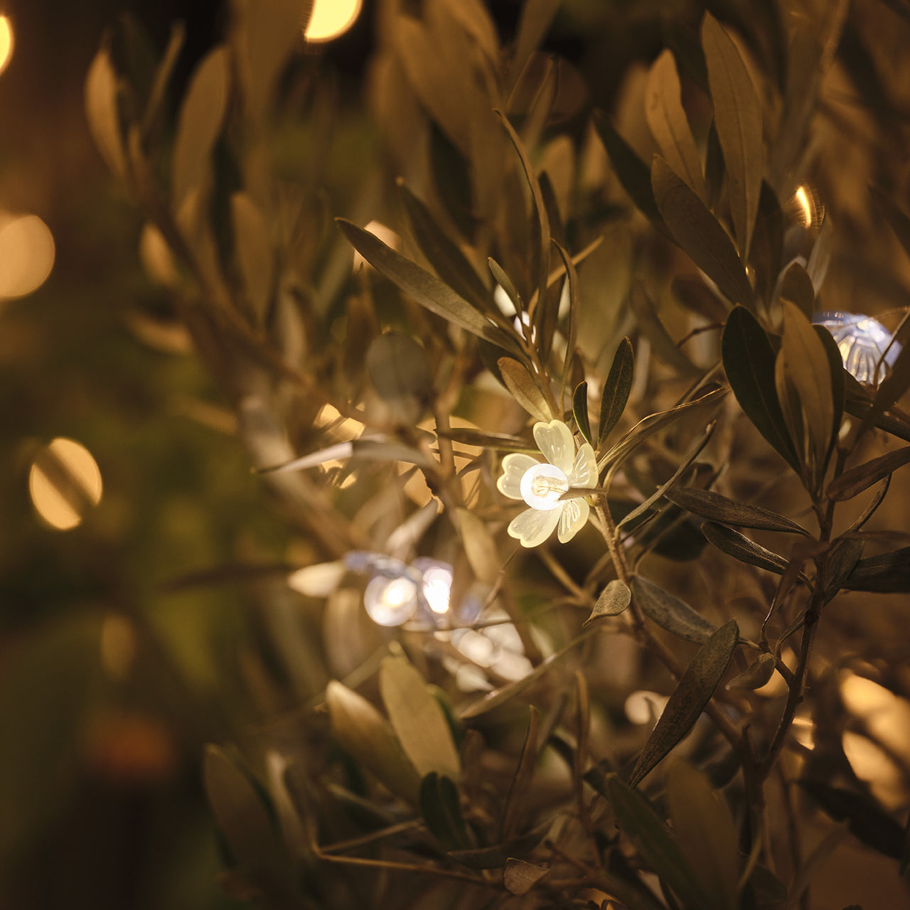 Blaue & weiße Mikro-LED-Blumenlichterkette Warmweiß mit Timer