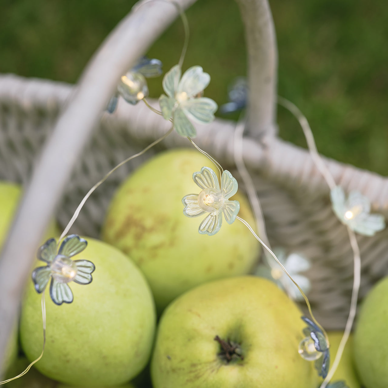 Blaue & weiße Mikro-LED-Blumenlichterkette Warmweiß mit Timer