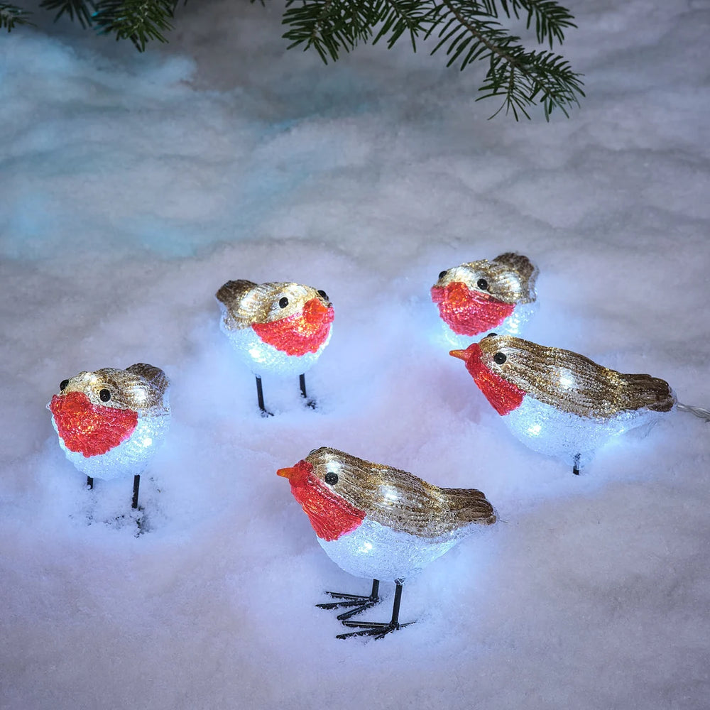 LED-Rotkehlchen-Figuren im Schnee unter Tannenzweig, leuchtend in Gruppe.