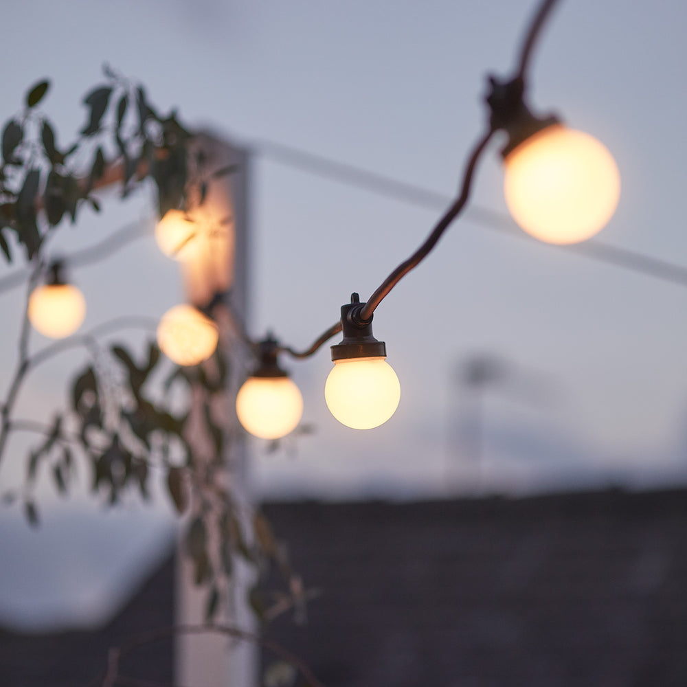 Lichterkette mit warmweißen LEDs bei Dämmerung an schwarzem Kabel zwischen Pflanzen