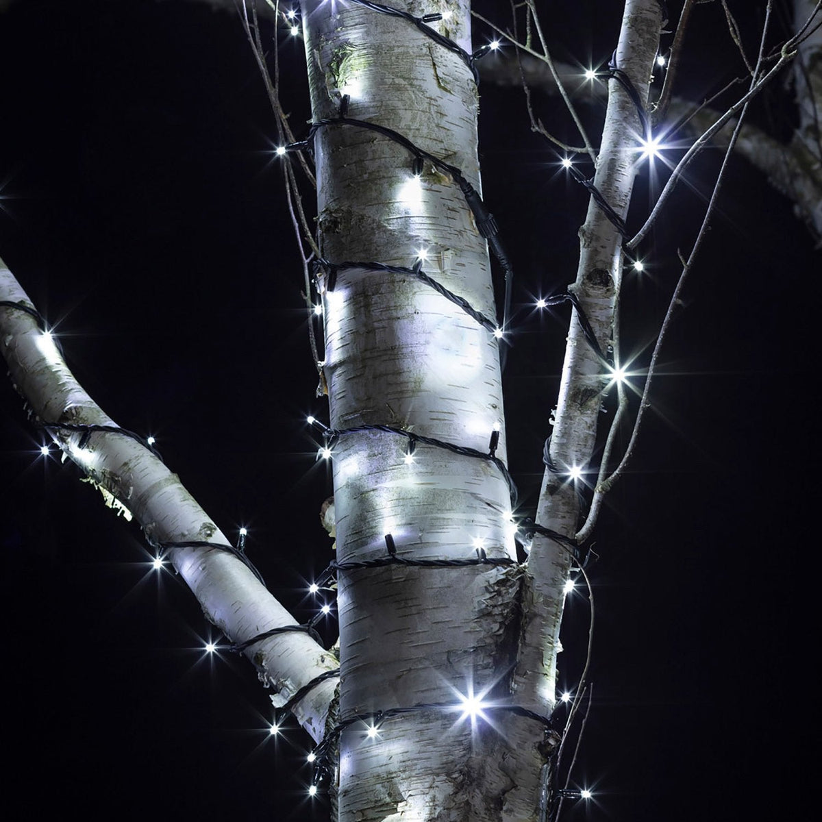 Pro connect von 100m 1000er LED Lichterkette weiß koppelbar schwarzes