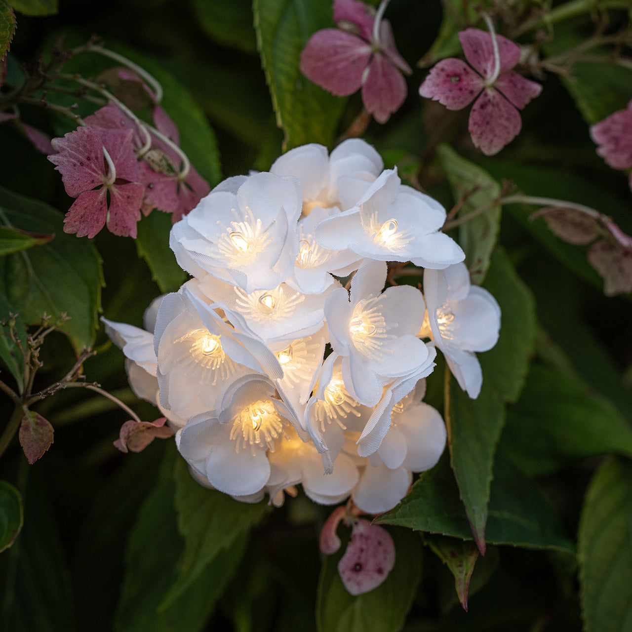 200er LED Solar Lichterkette Starburst Blumen USB wiederaufladbar