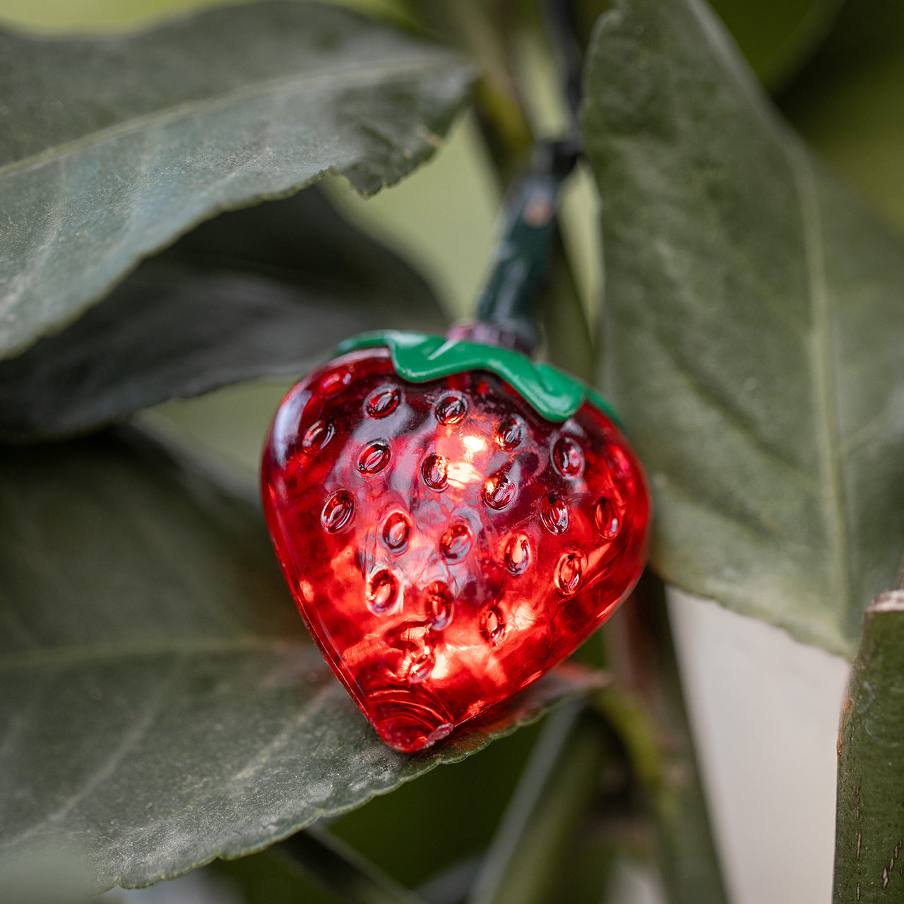 20er Solar Lichterkette Erdbeeren