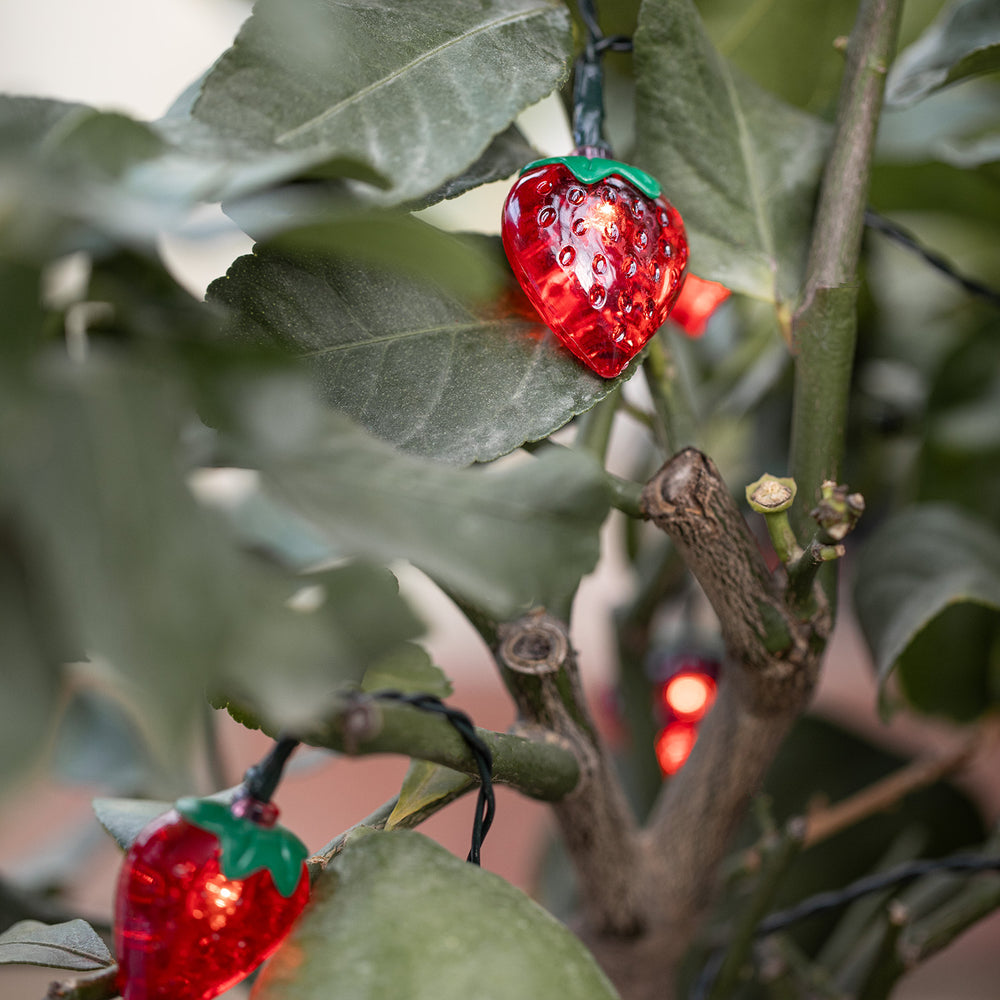 20er Solar Lichterkette Erdbeeren