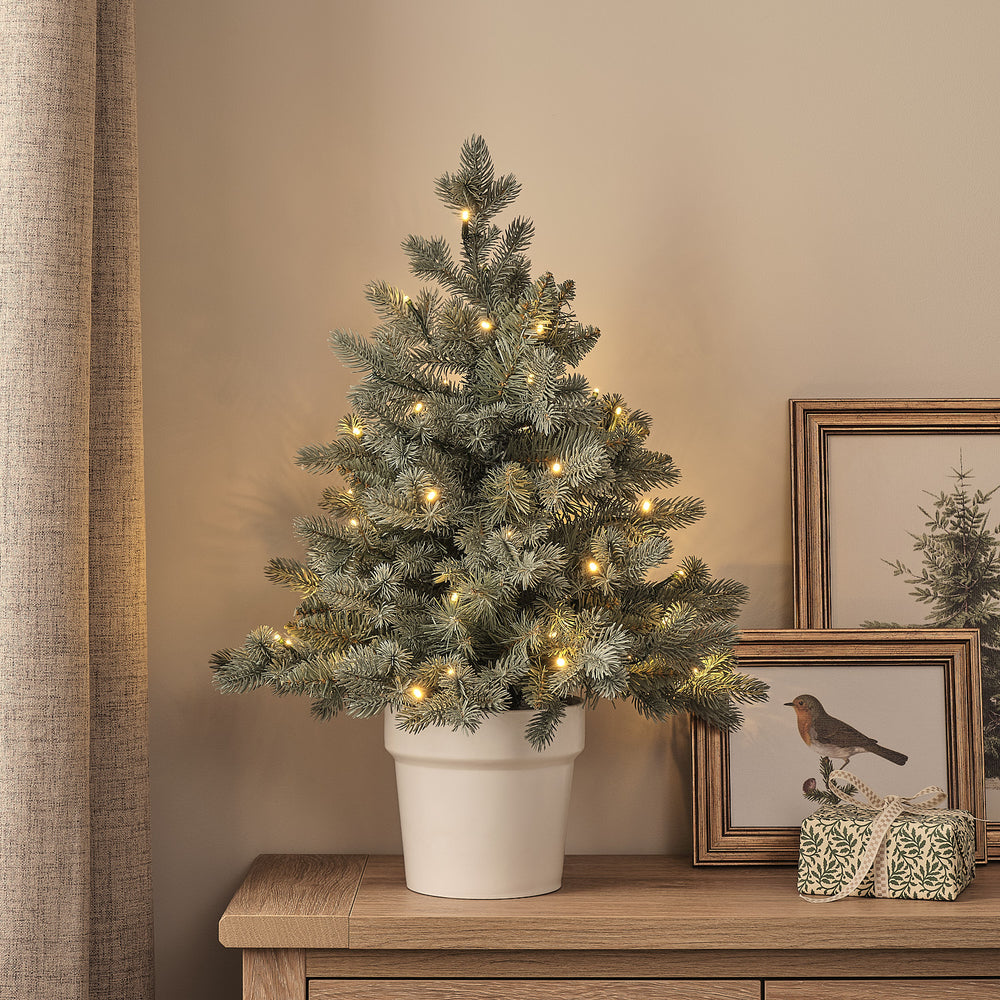 60cm LED-Weihnachtsbaum Douglasie im Topf warmweiß