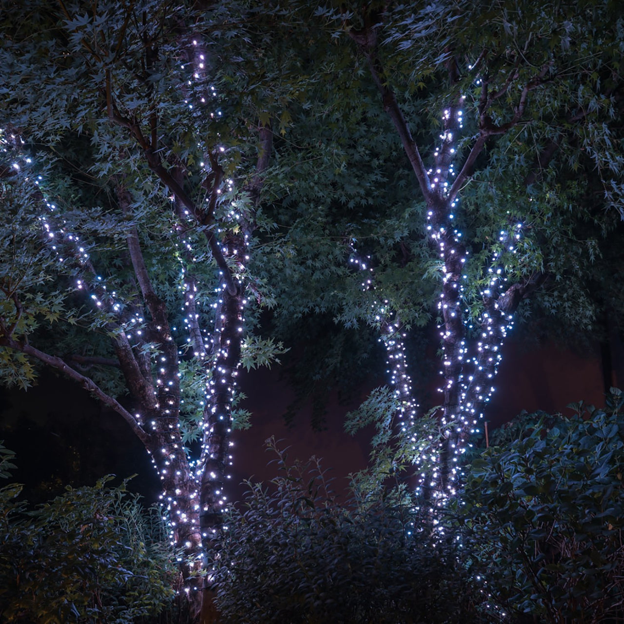 Twinkly 32m 400 LED smarte Lichterkette Bunt und Weiß Edition
