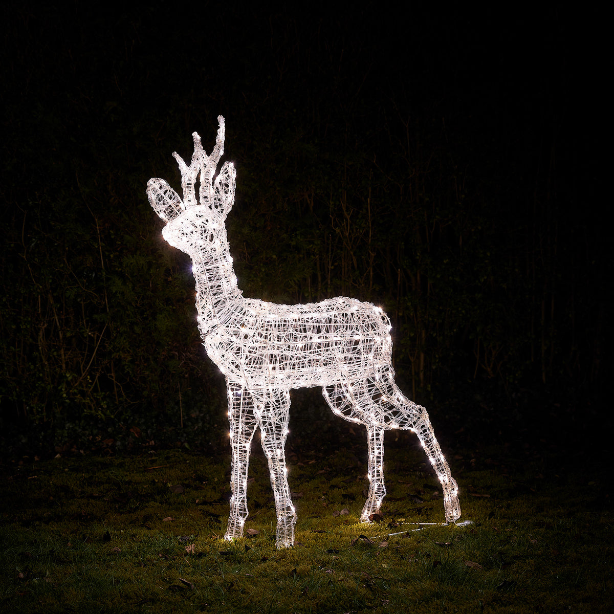Bicolor Solar-LED-Rentier Hirsch L Swinsty aus Acryl