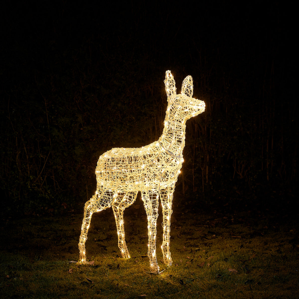 Bicolor Solar-LED-Rentier Hirschkuh L Swinsty aus Acryl