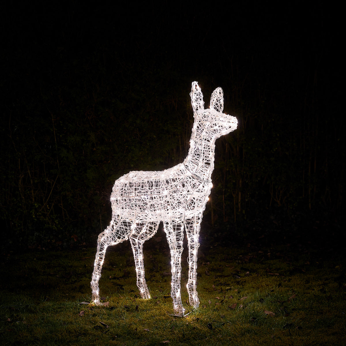 Bicolor Solar-LED-Rentier Hirschkuh L Swinsty aus Acryl