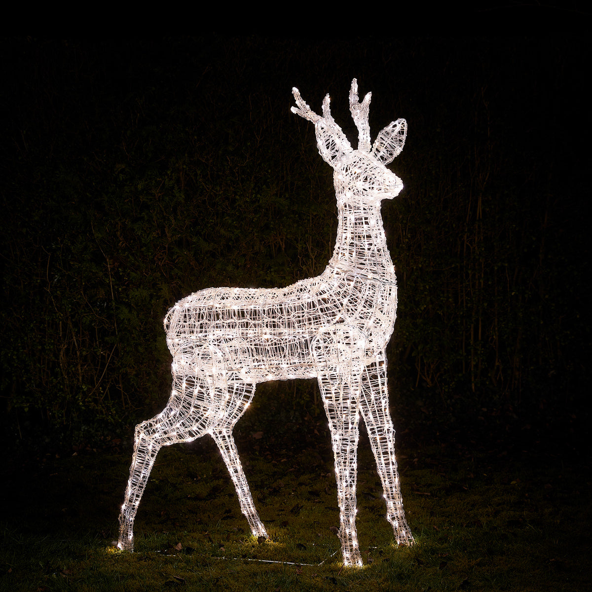 Bicolor Solar-LED-Rentier Hirsch XL Swinsty aus Acryl