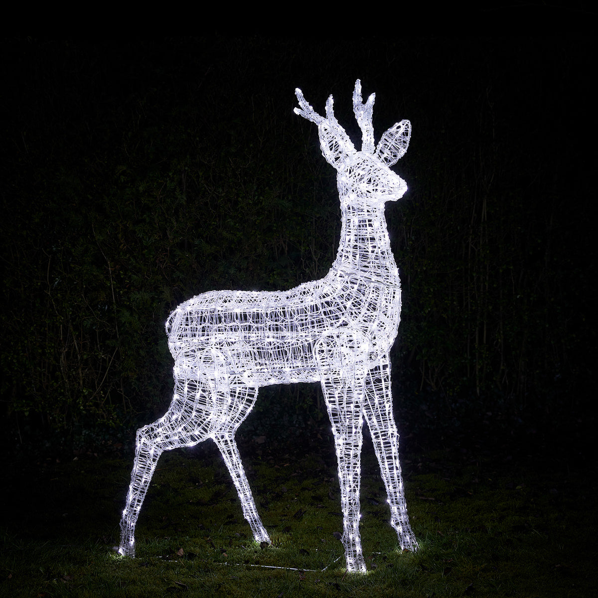 Bicolor Solar-LED-Rentier Hirsch XL Swinsty aus Acryl