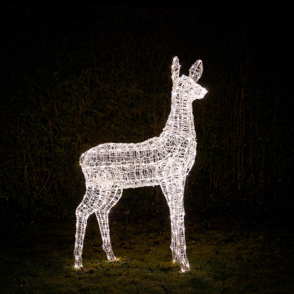 Bicolor Solar-LED-Rentier Hirschkuh XL Swinsty