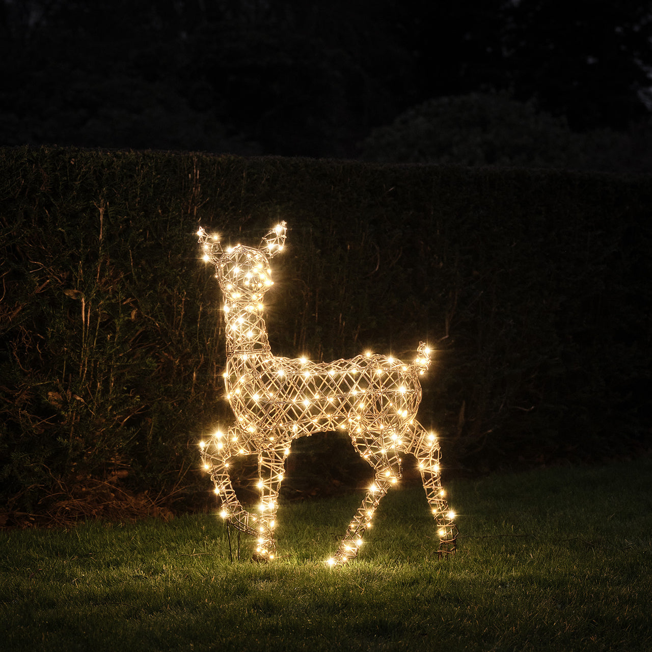 90cm Studley Rattan LED Rentier