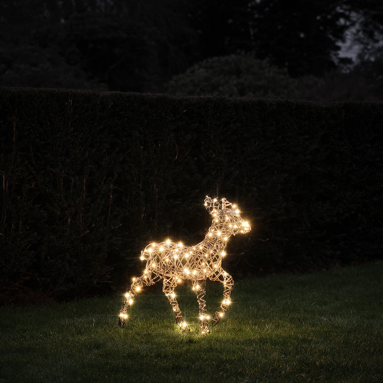 60cm Studley Rattan LED Rentier Kind