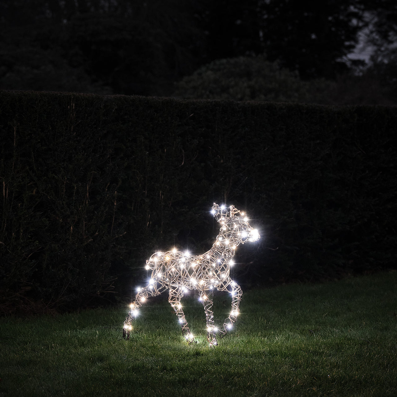 60cm Studley Rattan LED Rentier Kind