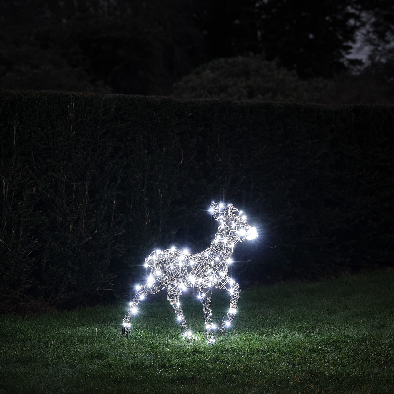 60cm Studley Rattan LED Rentier Kind