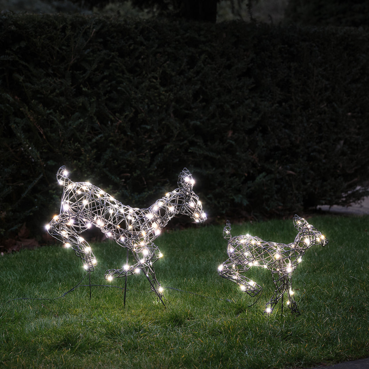 50cm Harlow LED Rentiere Mutter und 35cm Kind aus Rattan