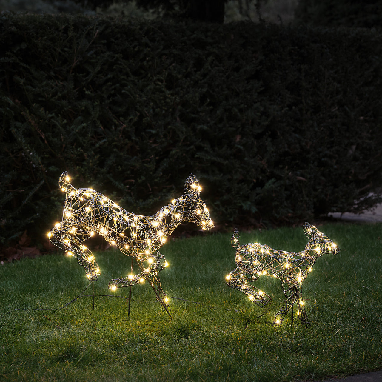 50cm Harlow LED Rentiere Mutter und 35cm Kind aus Rattan