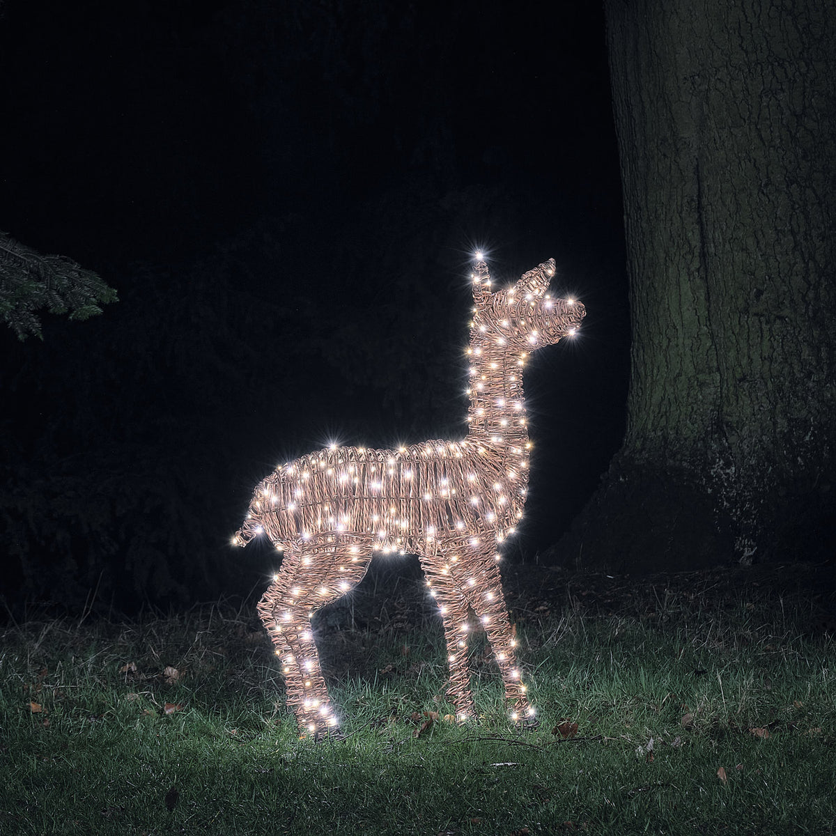 98 cm Pateley Rattan LED-Rentier Hirschkuh mit 260 Mikro-LEDs und Timer in bicolor Beleuchtung
