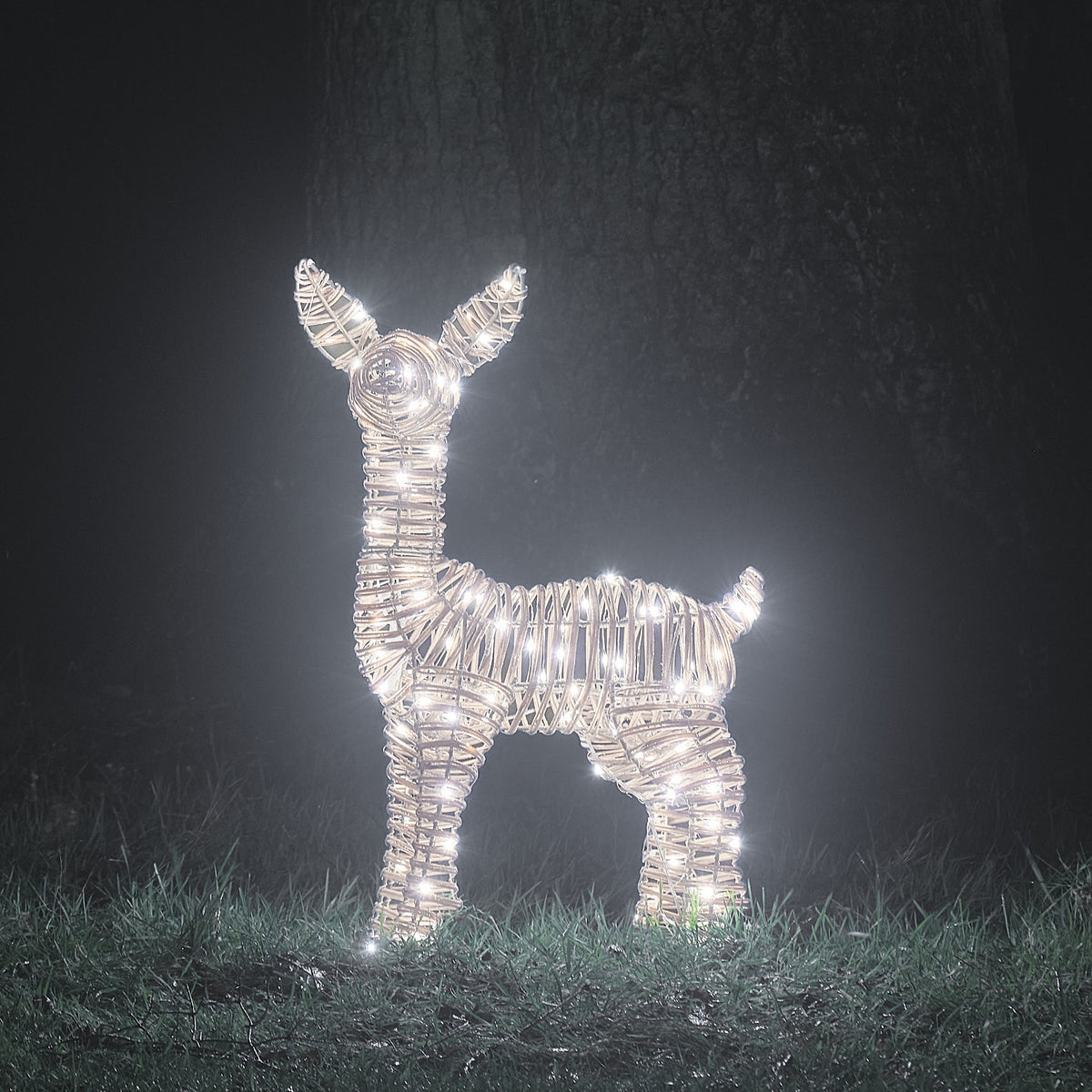 62 cm Leyburn Bicolor LED-Rehkitz aus Rattan mit 110 Mikro-LEDs in Kaltweiß