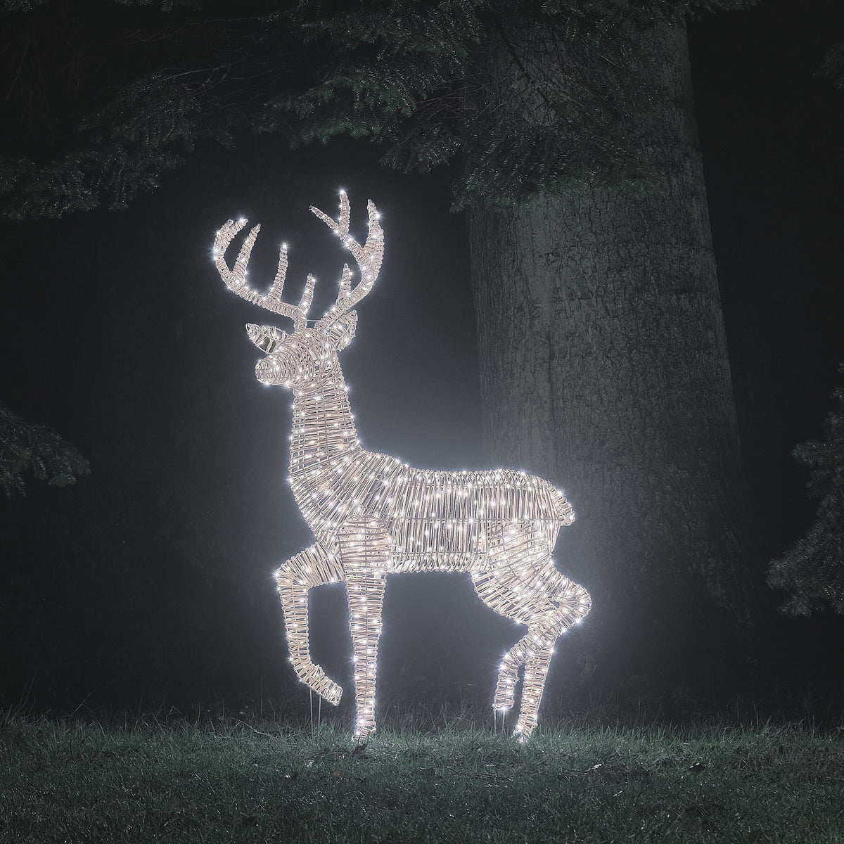 Leyburn XL Bicolor LED-Rentier Hirsch aus Rattan mit 600 Mikro-LEDs in Kaltweiß