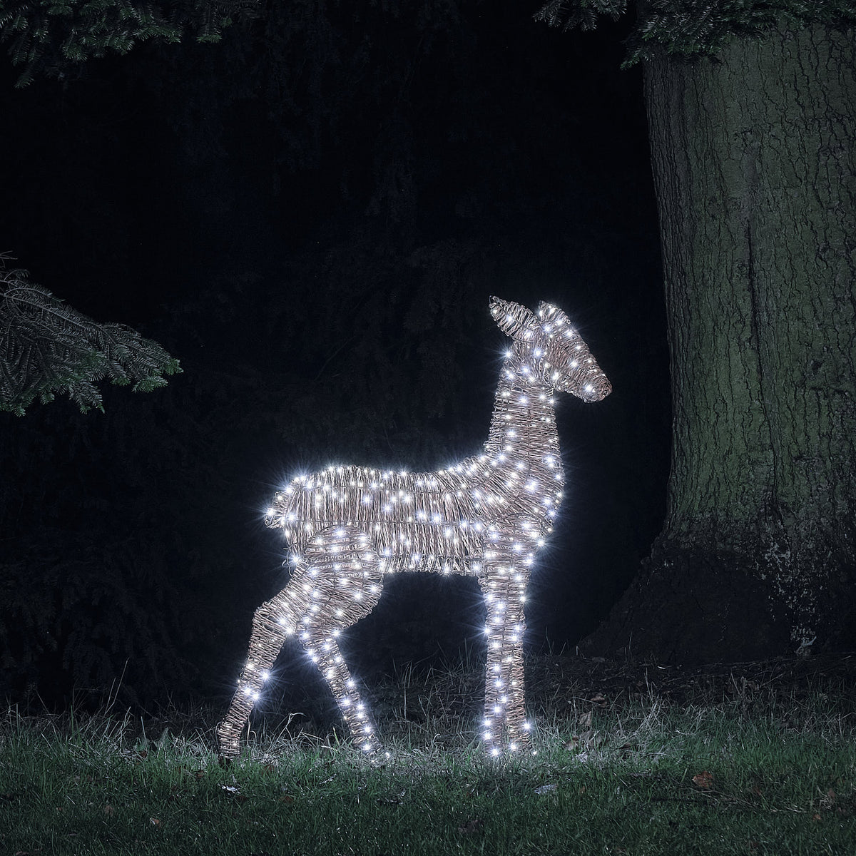 XL Pateley LED-Hirschkuh aus Rattan mit 400 Mikro-LEDs und Timer