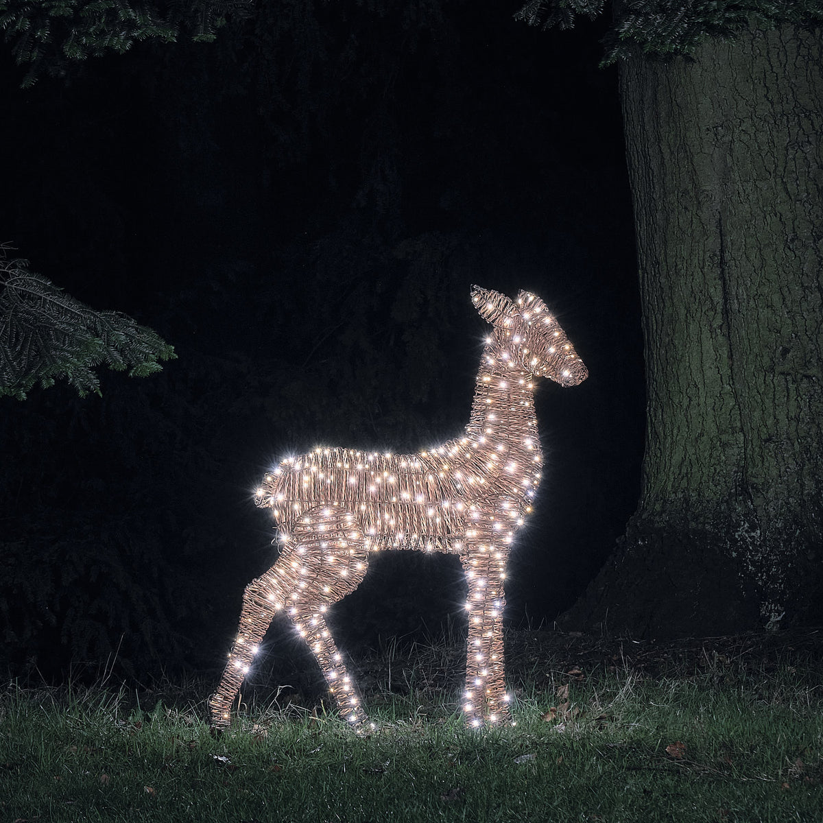 XL Pateley LED-Hirschkuh aus Rattan mit 400 Mikro-LEDs und Timer