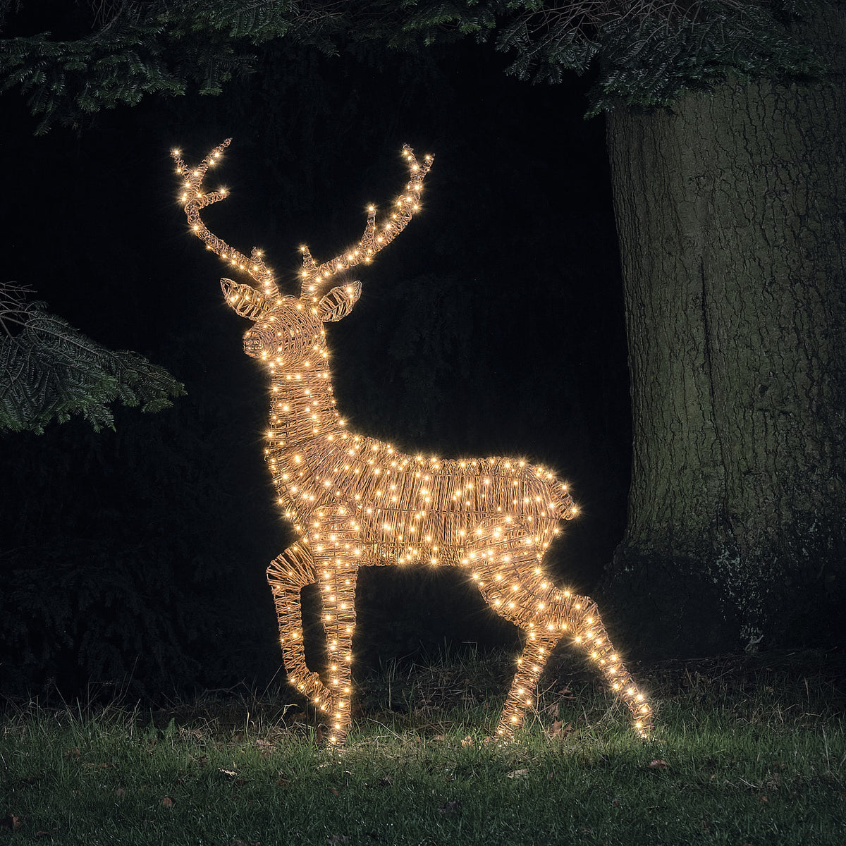Pateley XL LED-Rentier Hirsch im Rattan-Look mit 500 Mikro-LEDs