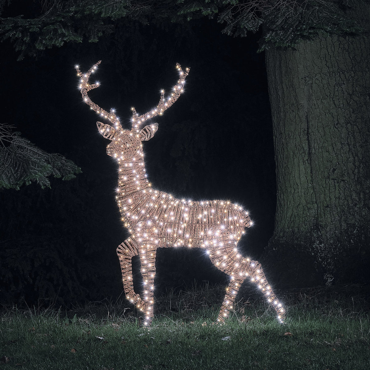 Pateley XL LED-Rentier Hirsch im Rattan-Look mit 500 Mikro-LEDs