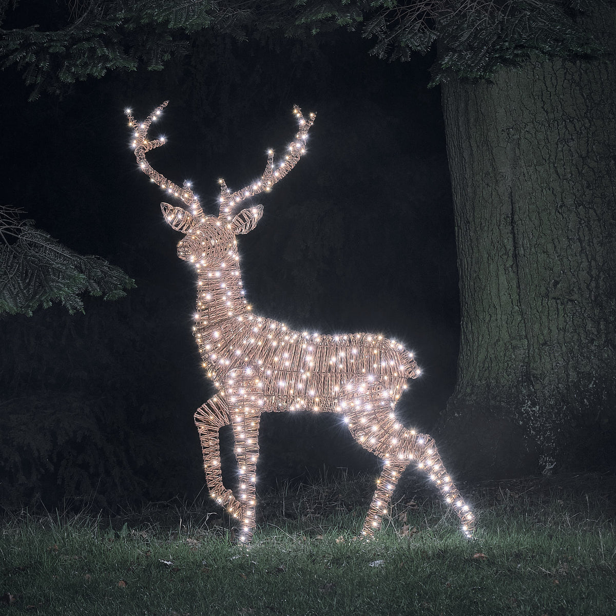 Pateley XL LED-Rentier Hirsch im Rattan-Look mit 500 Mikro-LEDs