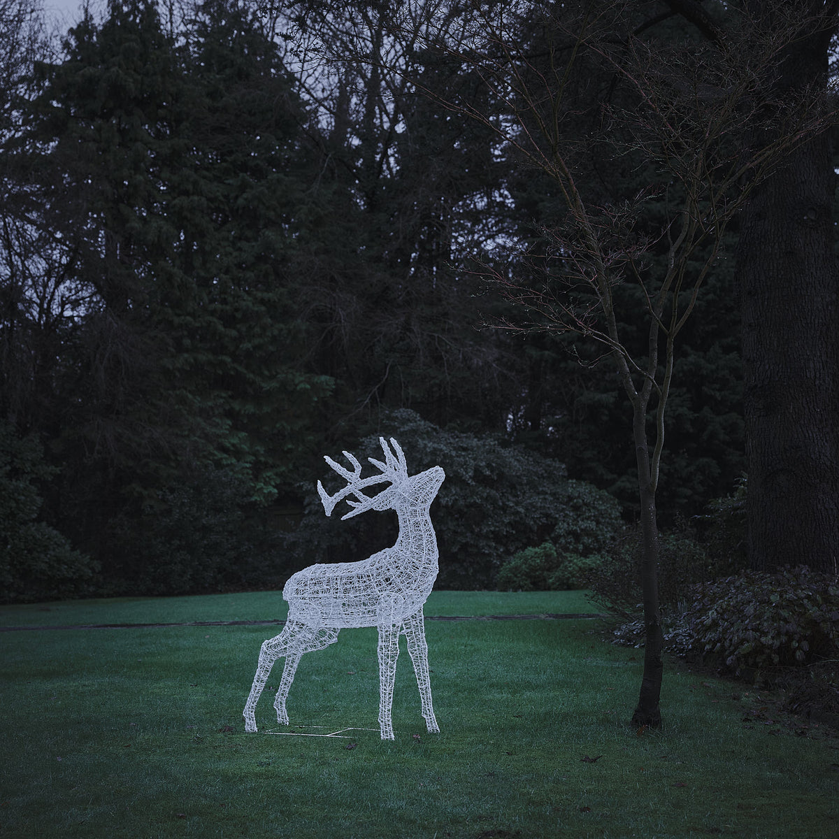 Bicolor LED-Rentier Hirsch XL Swinsty mit 450 LEDs am Tag beleuchtet