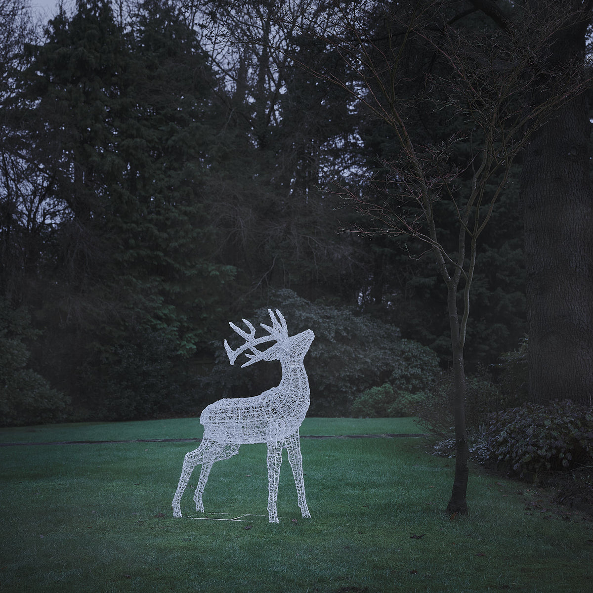 Bicolor LED-Rentier Hirsch XL Swinsty mit 450 LEDs