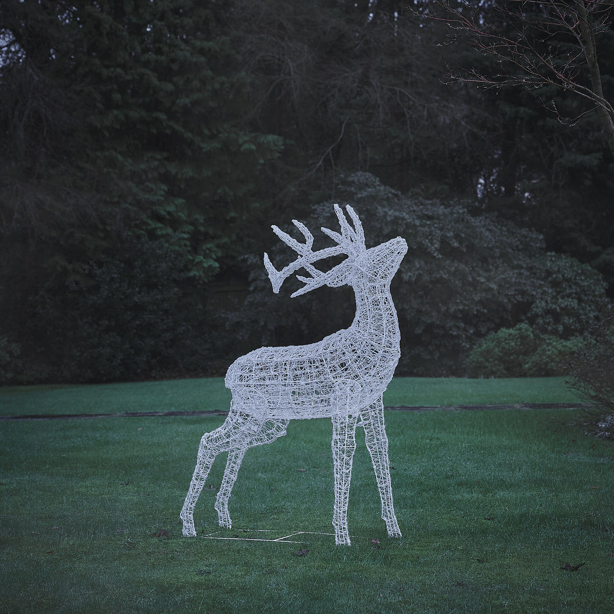 Bicolor LED-Rentier Hirsch XL Swinsty mit 450 LEDs unbeleuchtet