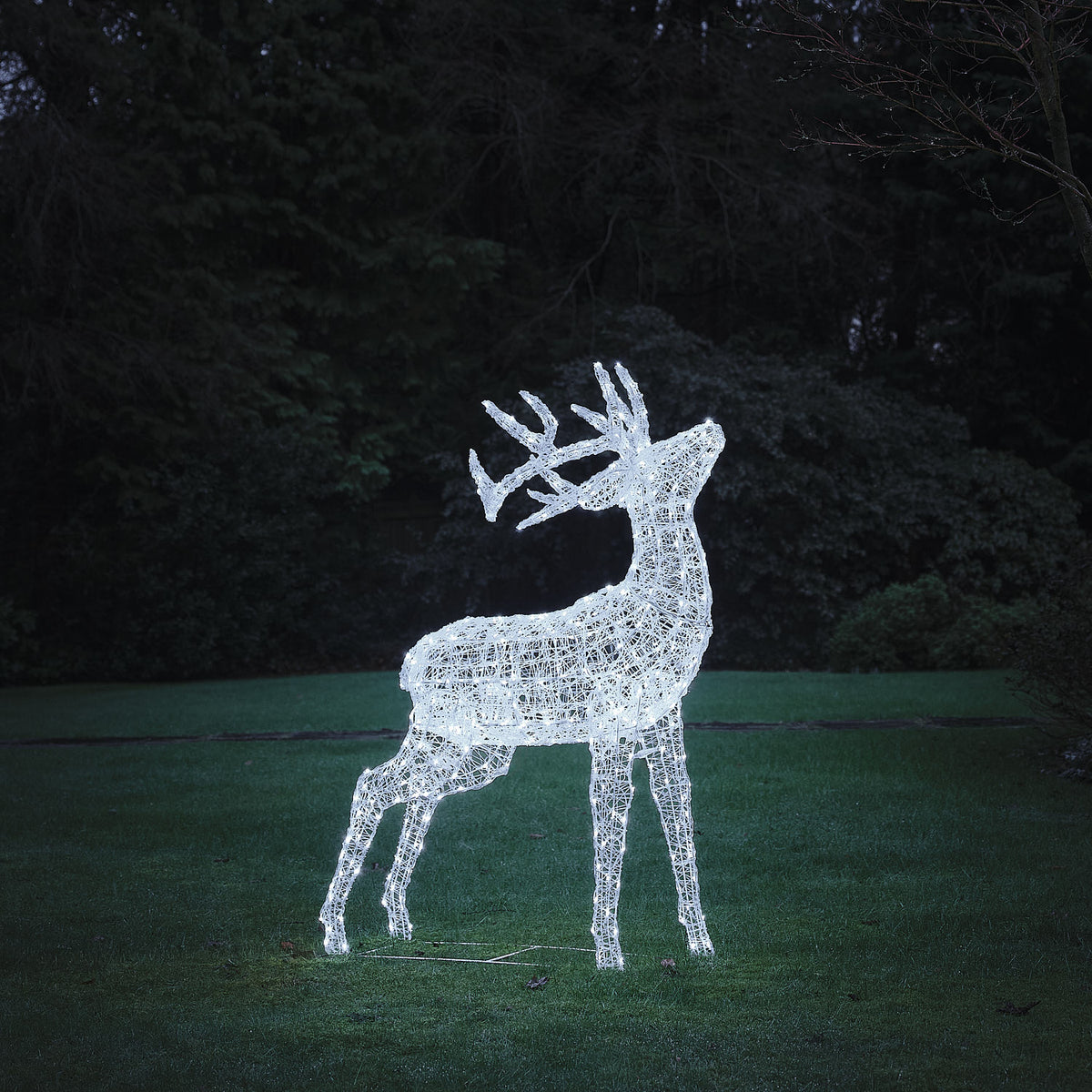 Bicolor LED-Rentier Hirsch XL Swinsty mit 450 LEDs in Kaltweiß