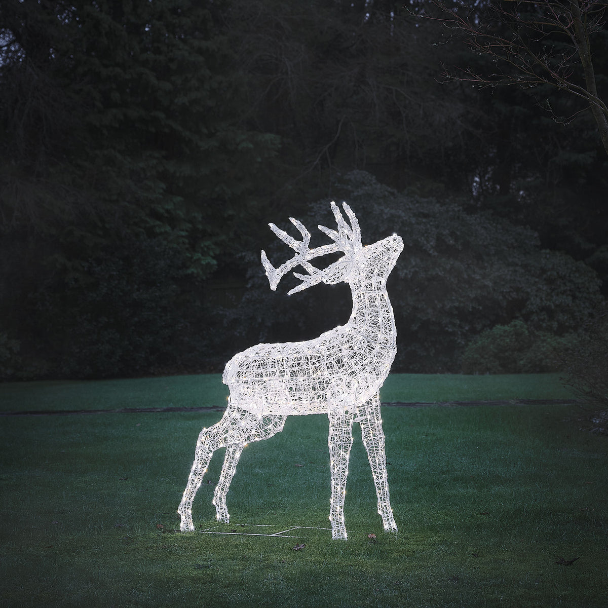 Bicolor LED-Rentier Hirsch XL Swinsty mit 450 LEDs in Kaltweiß