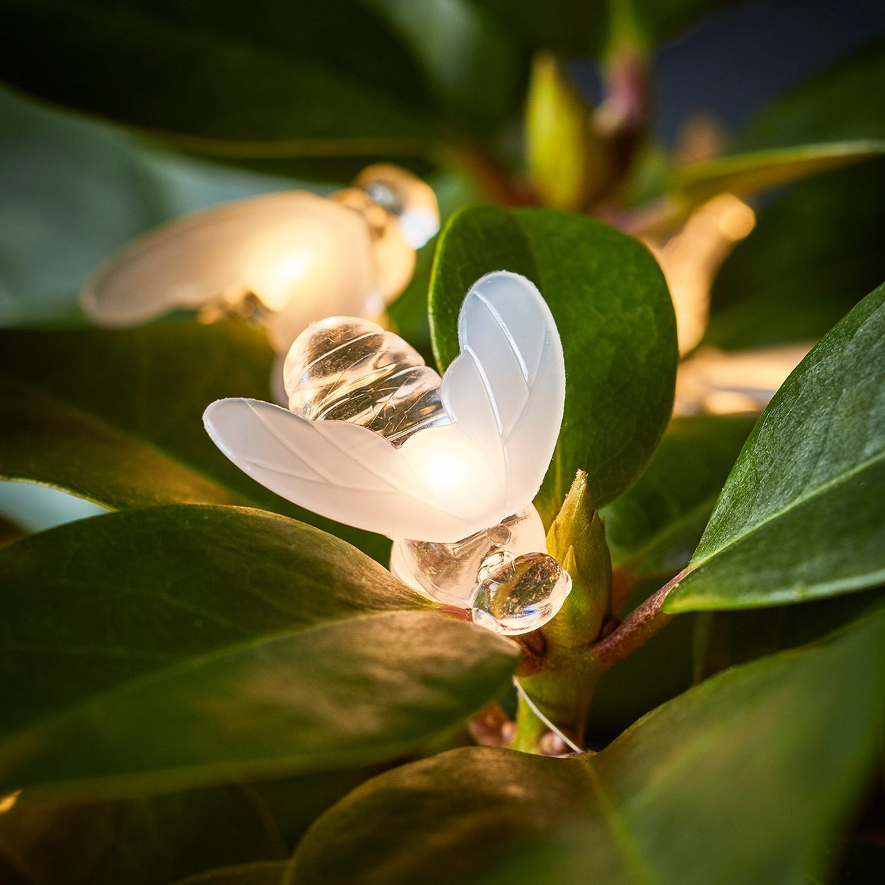 Bienen-Lichterkette – 20 LEDs, Batteriebetrieben, 2 M Lang, Für Garten, Hochzeit, Party Bienen-Lichterkette – 20 LEDs, Batteriebetrieben, 2 M Lang, Für Garten, Hochzeit, Party