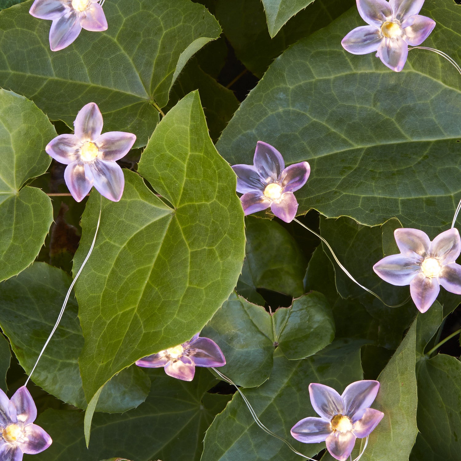 20er Micro Lichterkette außen Blumen