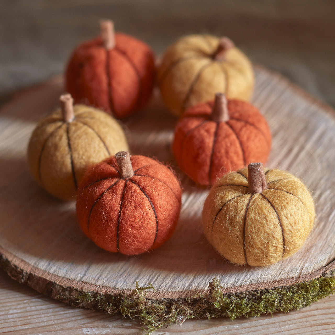 6er Set Herbstdeko Kürbisse aus Wolle