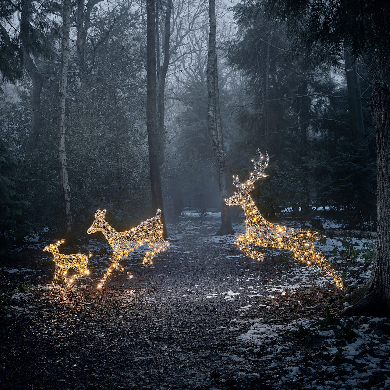 Harlow Bicolor LED Rentier-Familie aus Rattan