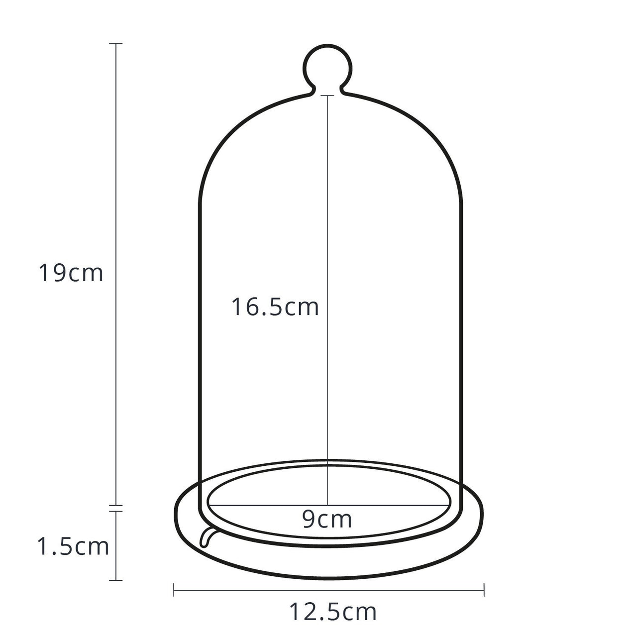 Dimensionen der Glasglocke mit Holzteller.