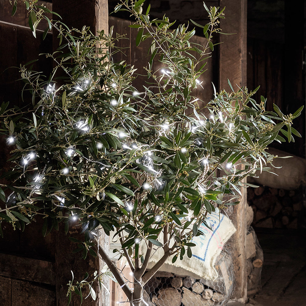 100er LED Batterie Lichterkette Außen weiß transparentes Kabel