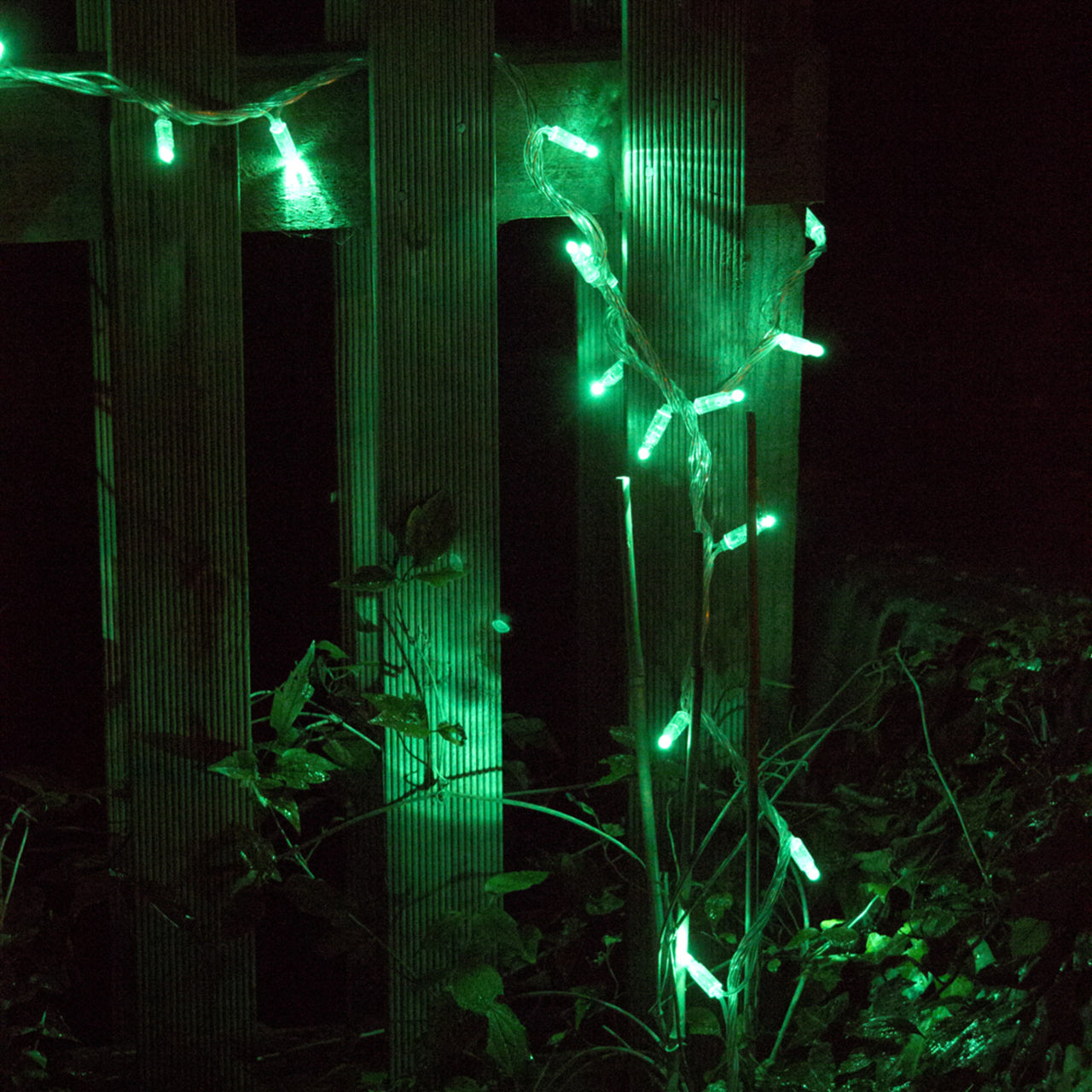 100er LED Lichterkette grün transparentes Kabel 10m