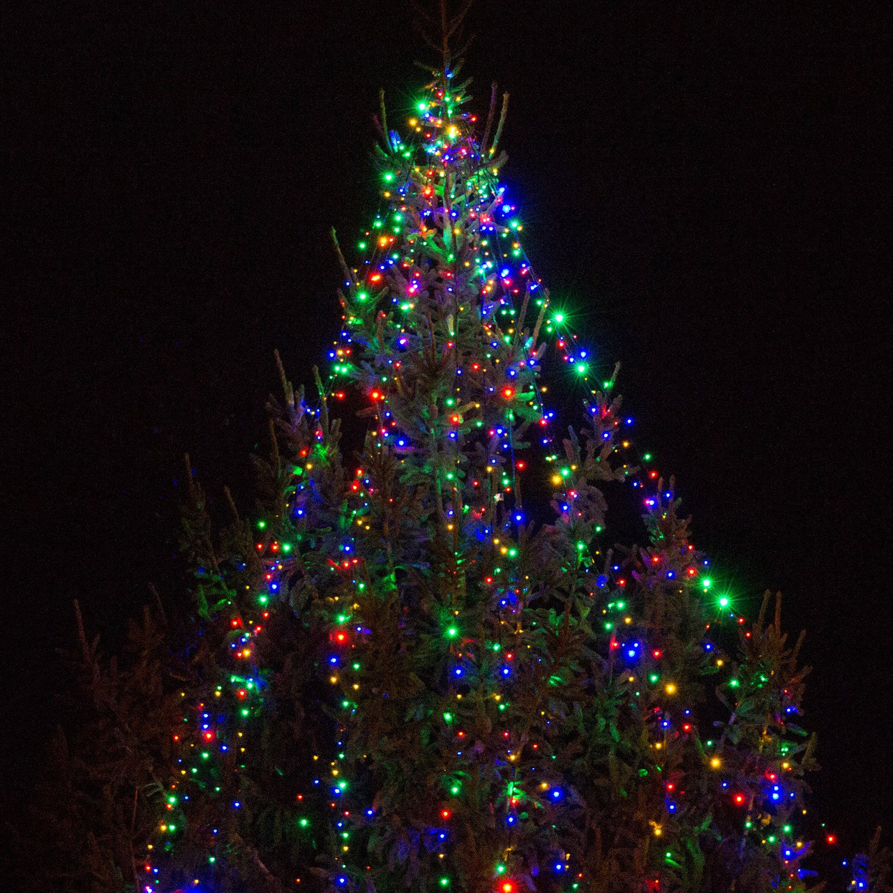 Core Connect 30m 300er LED Lichterkette bunt koppelbar grünes Kabel