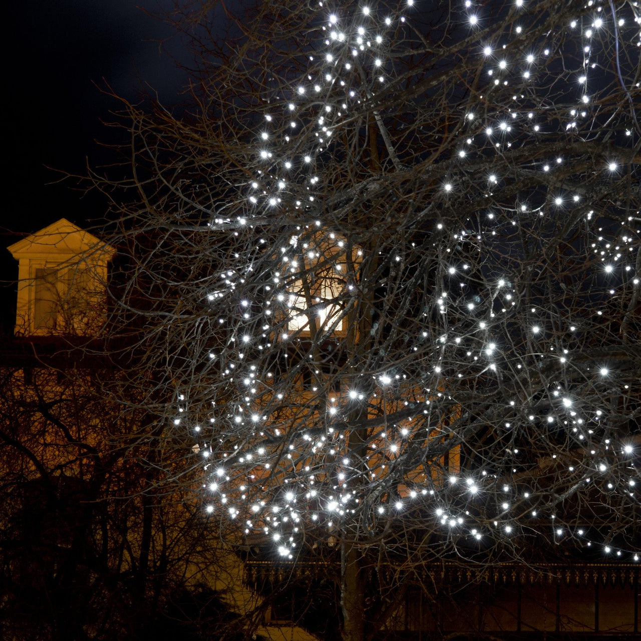 Core Connect 60m 600er LED Lichterkette weiß koppelbar grünes Kabel