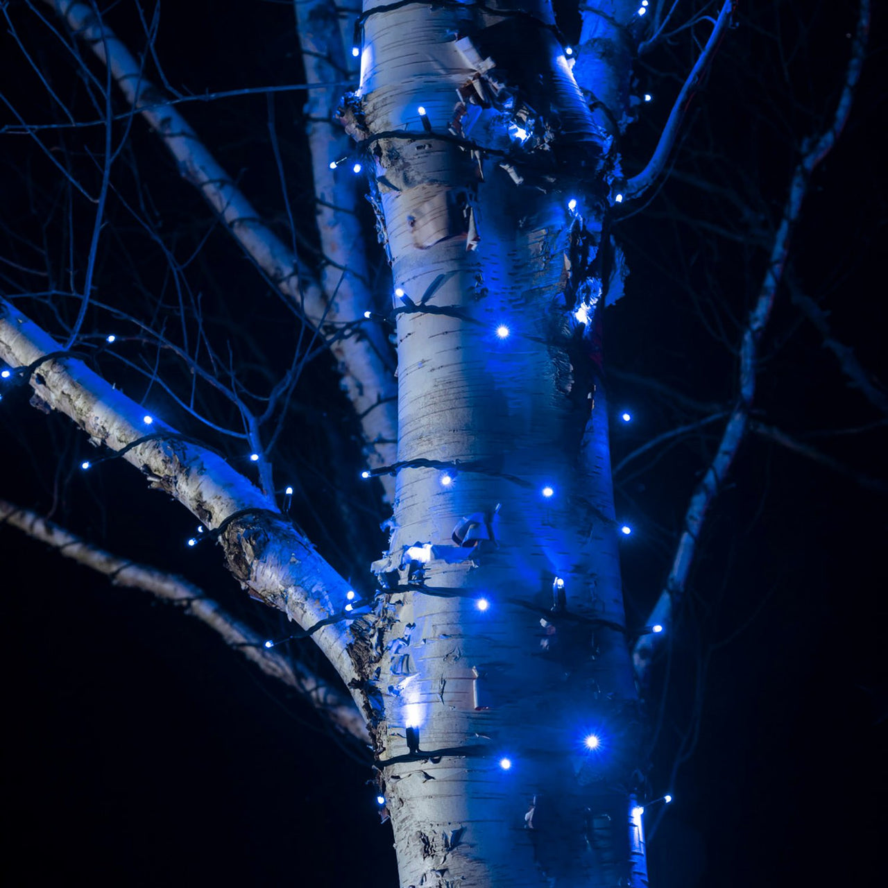 110m 1100er LED Lichterkette blau koppelbar schwarzes Kabel Pro Serie