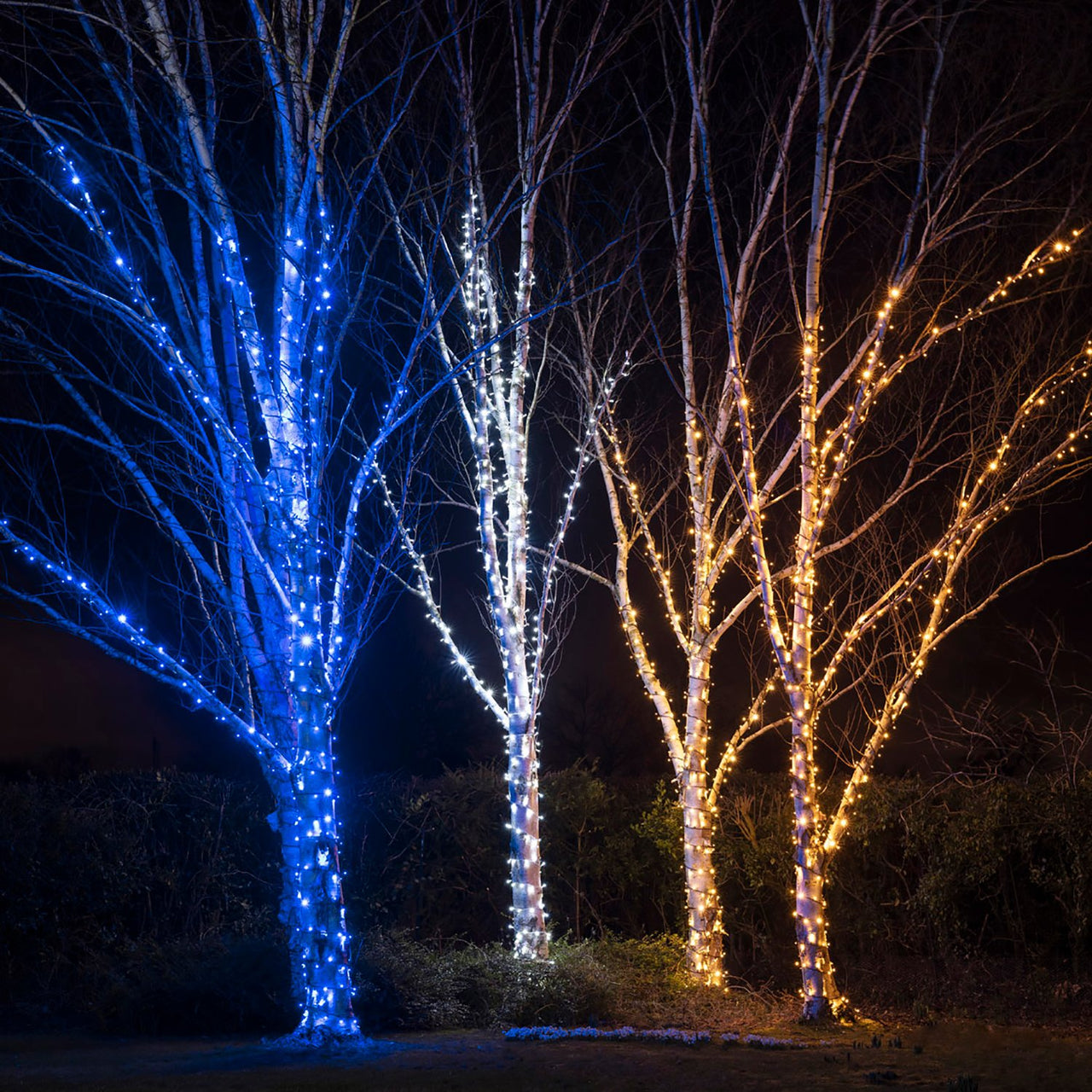 75m 750er LED Lichterkette blau koppelbar schwarzes Kabel Pro Serie