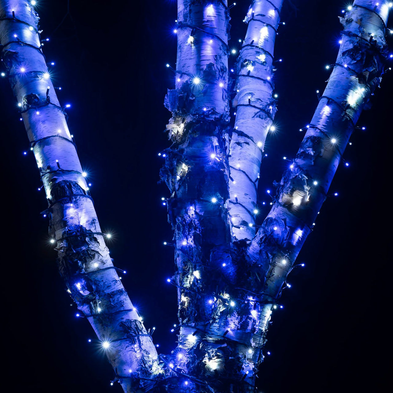 35m 350er LED Lichterkette blau weiß koppelbar schwarzes Kabel Pro Serie